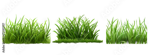 Fresh green grass in foreground isolated on transparent background