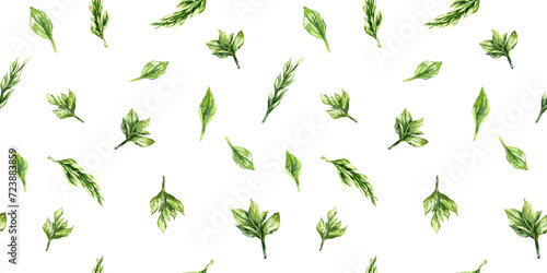 Seamless patternwatercolor spring leave mint rosemary melissa plants botany garden textile wrapping 