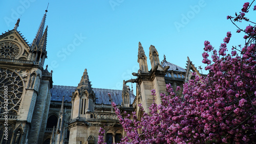 Catedral Notre-Dame de Paris in the spring