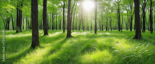 summer spring natural background with defocused green trees in a forest or park, wild grass, and sunbeams