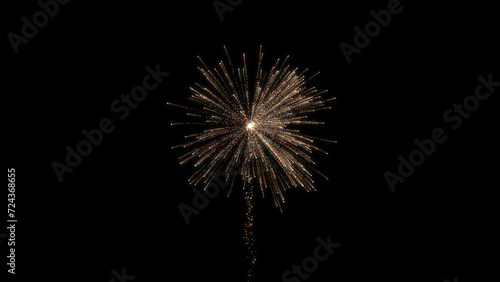 Bloom of firework in dark black background, firework explosion. firework background.