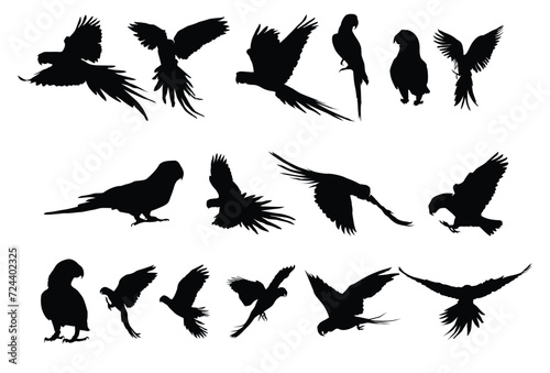Set of cockatoo silhouette icon logo template vector illustration design