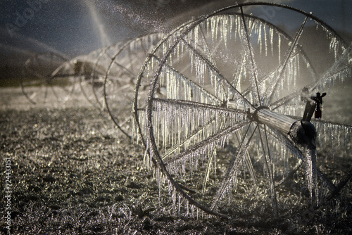 Ice cycles on a frozen wheel line irrigation sprinkler system after an evening of below freezing temperatures. 