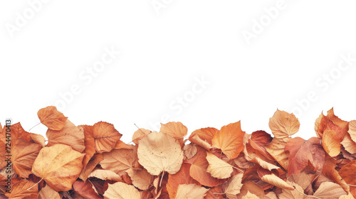 Dry autumn leaves at the bottom creating a natural border on a transparent backdrop, with space for text.