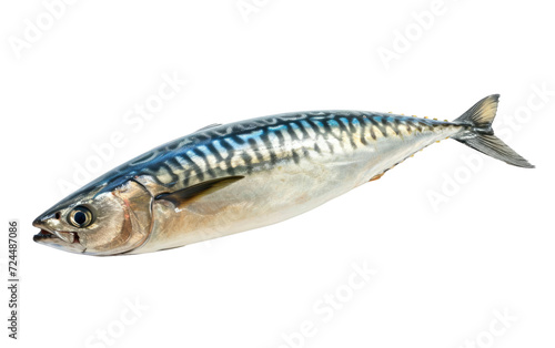 Mackerels Culinary Artistry Unveiled Isolated on Transparent Background.