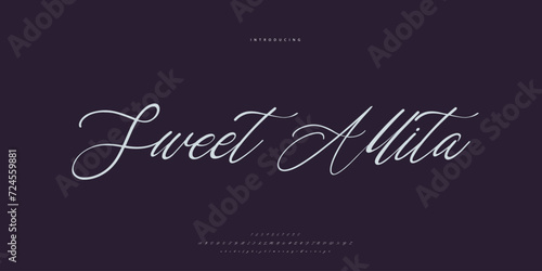 signature Font Calligraphy Logotype Script Brush Font Type Font lettering handwritten 