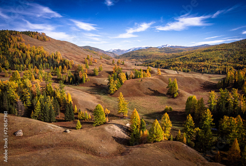Vivid autumn colors drape the rolling hills of Altai in this aerial landscape, capturing the tranquil beauty of fall.