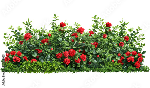 Cutout flowerbed. Plants and red flowers