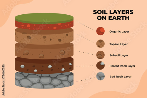 Soil layer infographics, earth texture horizon, Geology soil layer and ground structure diagram with organic, topsoil, subsoil, parent rock, and bed rock layer, vector illustration