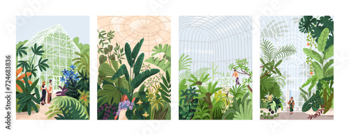 Botanical garden, green leaves, foliage plants. People walking in natural greenhouses with lush vegetation, cards backgrounds set. Greenery, orangery, nature in glasshouses. Flat vector illustrations