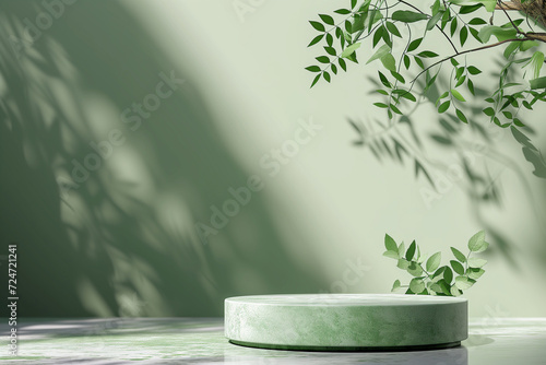Empty podium with leaves and shadows on green background for product presentation. Copy space