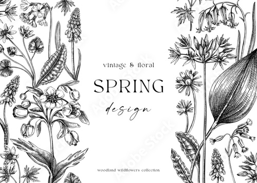 Vintage spring background. Hand drawn vector illustration. Vintage floral frame. Woodland wild flower sketches. Wildflowers design template