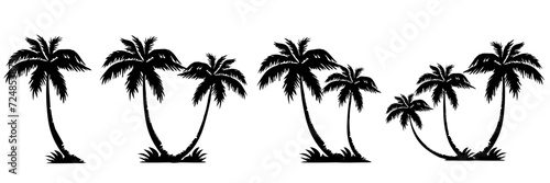 palm trees silhouette