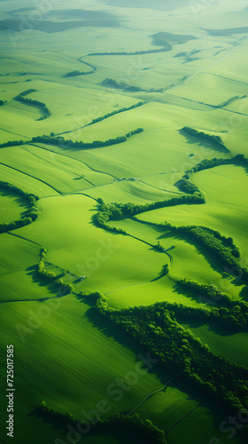 Aerial view of green fields, crops and harvests. Natural landscape. 