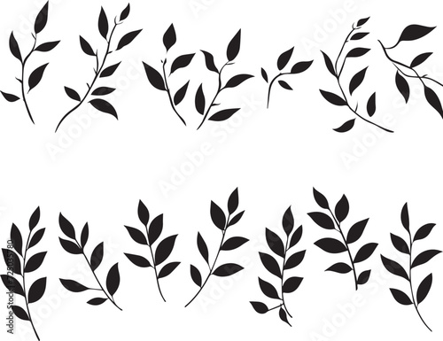 Beautiful plant with leaves silhouette on white background 