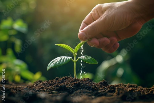 A hand irrigates a seedling with water. Background with selective focus and copy space