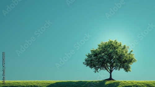 single tree with a clear blue sky background, representing nature's tranquility