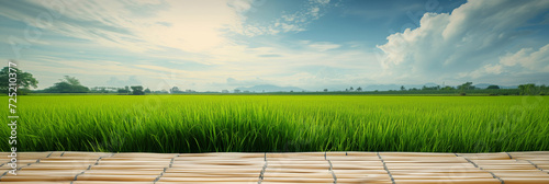 An expansive rice paddy field stretches towards the horizon under a soft morning sky. In the foreground, a traditional bamboo platform offers a place of rest and contemplation for the observer.