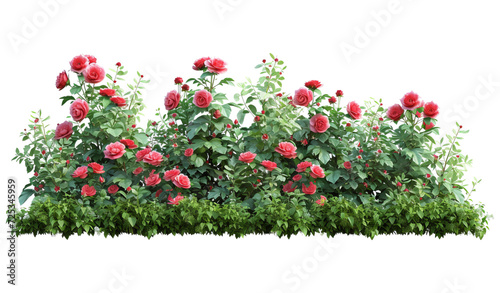 Cutout flowerbed. Plants and red flowers