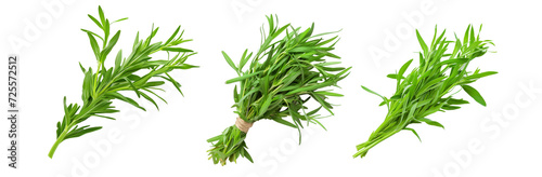 Tarragon isolated on transparent background cutout