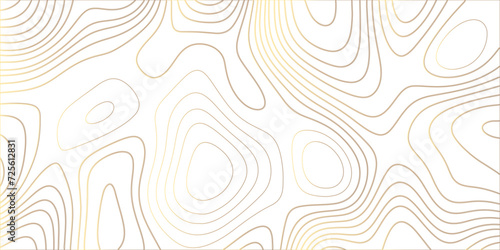 abstract golden wave paper curved reliefs background. Topography map pattern, Geographic curved, vector illustration. seamless textrue, vintage waves. Panorama view multicolor wave curve line. 