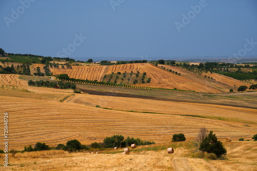 Country landscape near Forenza and Venosa, Basilicata, Italy
