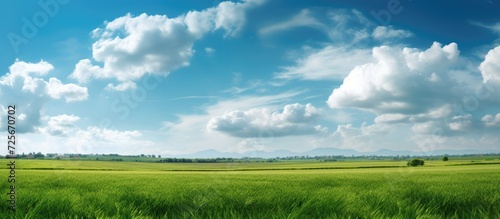 green fields and dense clouds, hot sun with bright blue skies