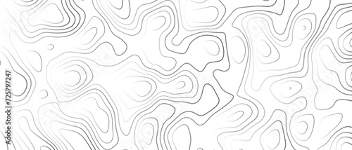Topographic gradient line map. Abstract circle lines background. Abstract blank detailed topographic contour map. Background of the topographic map. Line topography map contour background