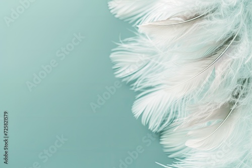 Soft focus fashion color trends for spring summer 2016 Pale teal blue background with white fluffy feathers