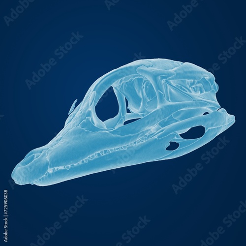 3d rendering of a dippy-skull