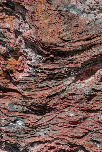 Fondo de piedra marina con colores rojos. Roca de Ushuaia, Patagonia Argentina