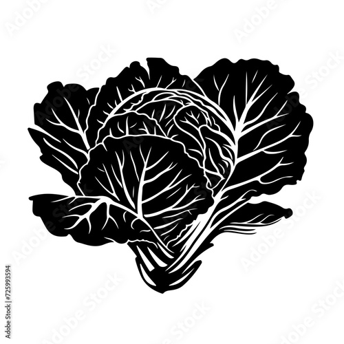 Cabbage Inside Logo Monochrome Design Style