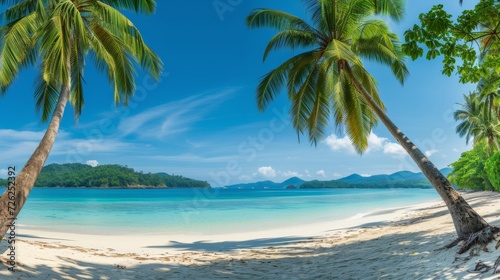 Panoramic banner of tropical beach with palm trees, idyllic view