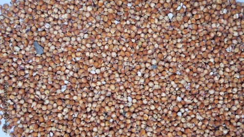 close up of a lot of seeds milo sorghum 