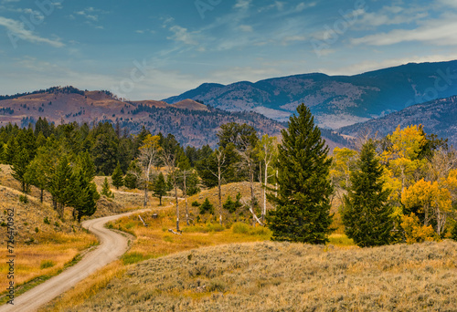 A fall landscape of a narrow road running through the valleys of Yellowstone National Park. Evergreens and yellow aspens contrast with the brown grass. The hills and mountains are in the distance. 