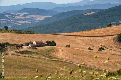 Country landscape near Melfi, Basilicata, Italy