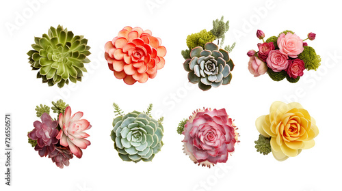 Cactus and Plants in 3D Digital Art, Isolated on Transparent Background for Trendy Garden Designs and Perfume Creations.