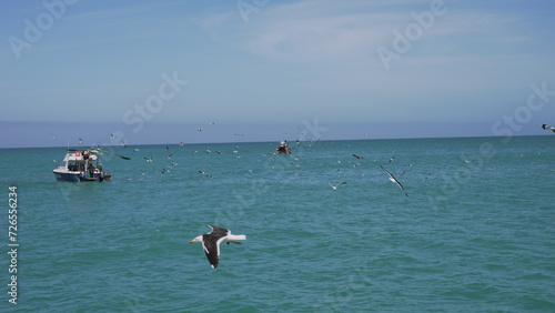 As the warm summer sun sets over the vast ocean, a group of birds soar gracefully above the shimmering water, while people enjoy swimming, surfing, and boating on the peaceful surface below