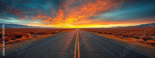 Journey through a vast ecoregion as the sun sets, painting the sky with hues of orange and pink, while a lone road stretches into the horizon, lined with golden grass and desert plants