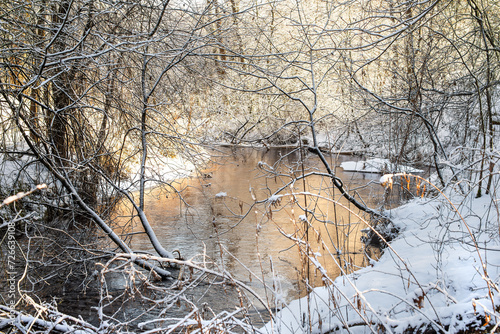 Scenic winter scenery with water stream among trees
