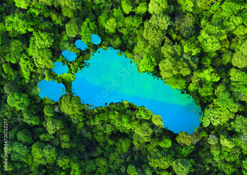 Lac en forme d'empreinte de pied dans une forêt tropicale luxuriante, représentant l'impact de l'activité humaine sur le paysage et la nature, l'empreinte carbone, la déforestation. Vue aérienne.
