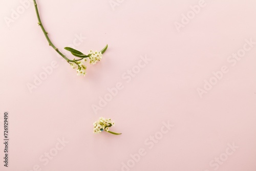 a beautiful spring flowers against a light pink paper background. top view. An empty space for display cosmetic products, food and props.