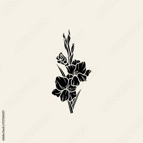 Flat vector gladiolus flower illustration