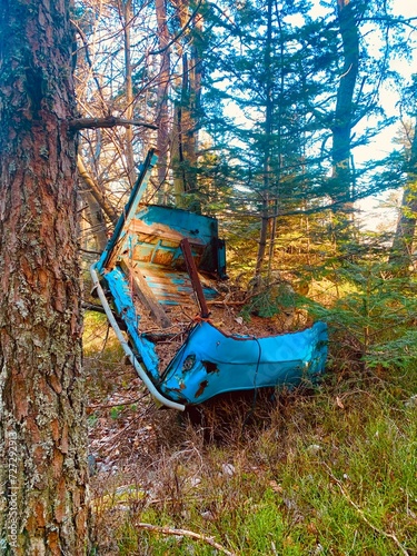 Carcasse de pick-up en pleine forêt