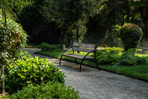 Summer Aleksander garden in Tbilisi