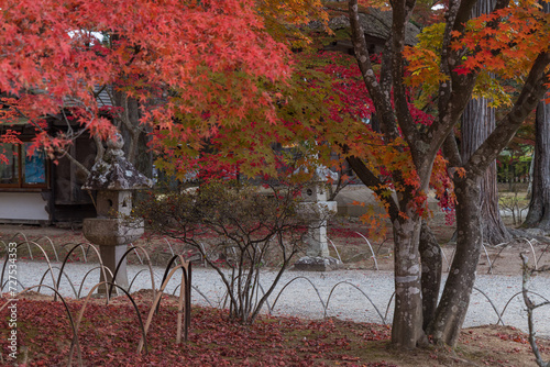 日本 岩手県西磐井郡平泉町にある毛越寺庭園の紅葉
