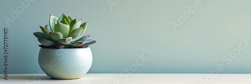 A vibrant succulent plant nestles in a smooth, colored pot, standing out against a calm background, ideal for editorial content focusing on indoor gardening or modern home aesthetics.