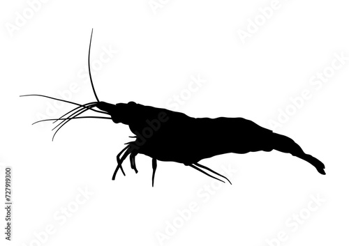 Silhouette of shrimp, crustacean - vector illustration