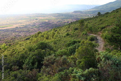 View of the garrigue and the Canyon du Diable from Roque Combarde on a June evening (St Saturnin de Lucian, Hérault, France) 