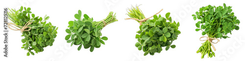 A Bunch Of Fresh Fragrant Fenugreek Trigonella foenum-graecum Hyperrealistic Highly Detailed Isolated On Transparent Background Png File White Background Photo Realistic Image